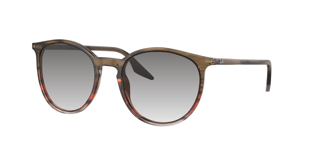 Ray Ban RB2204 13953B Ray Ban RB2204 13953B
