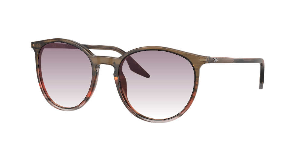 Ray Ban RB2204 13953B Ray Ban RB2204 13953B
