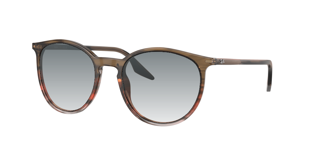 Ray Ban RB2204 13953B Ray Ban RB2204 13953B