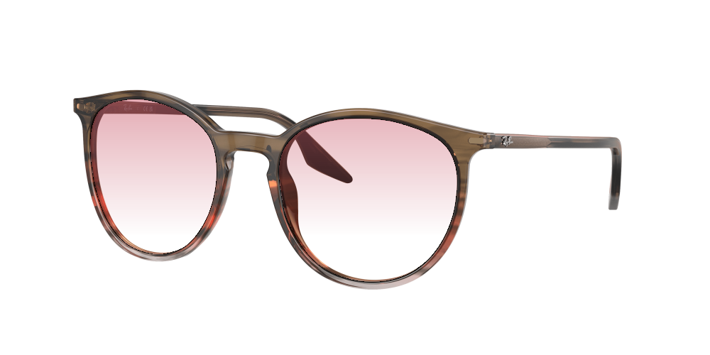 Ray Ban RB2204 13953B Ray Ban RB2204 13953B