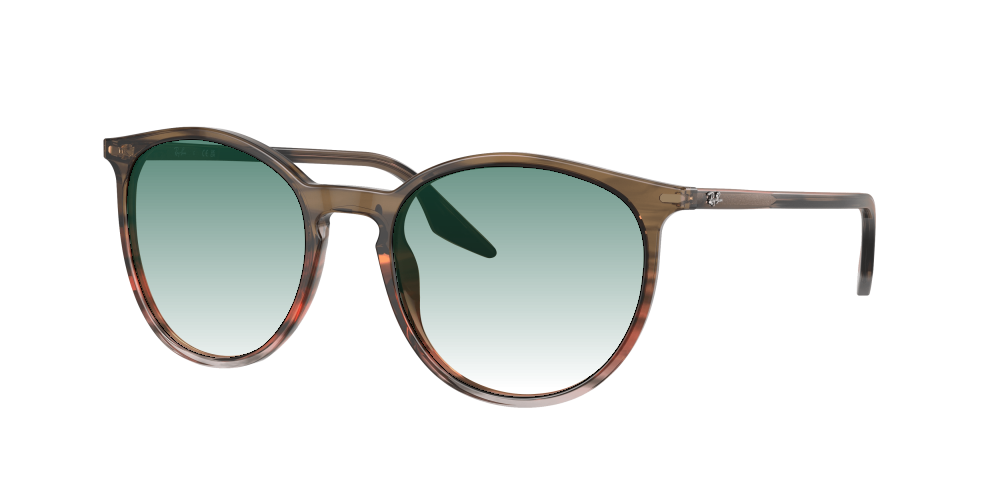 Ray Ban RB2204 13953B Ray Ban RB2204 13953B