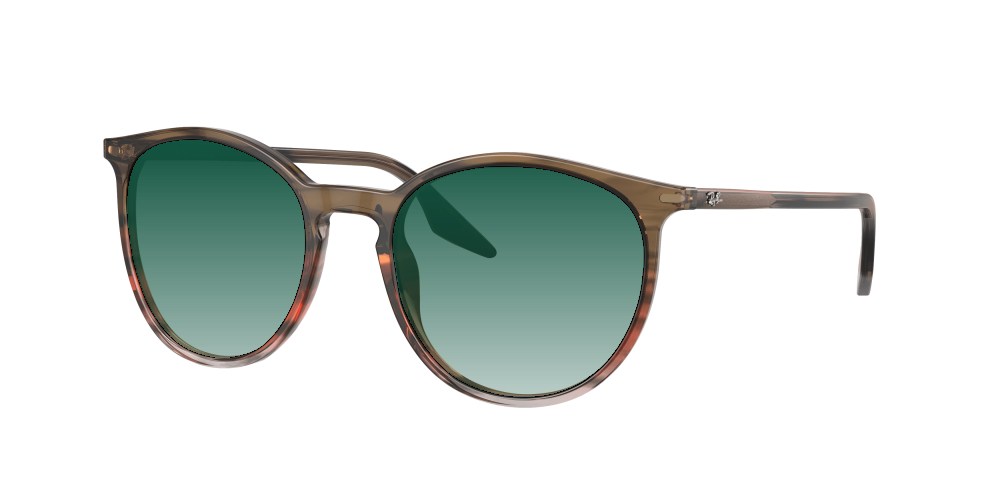 Ray Ban RB2204 13953B Ray Ban RB2204 13953B