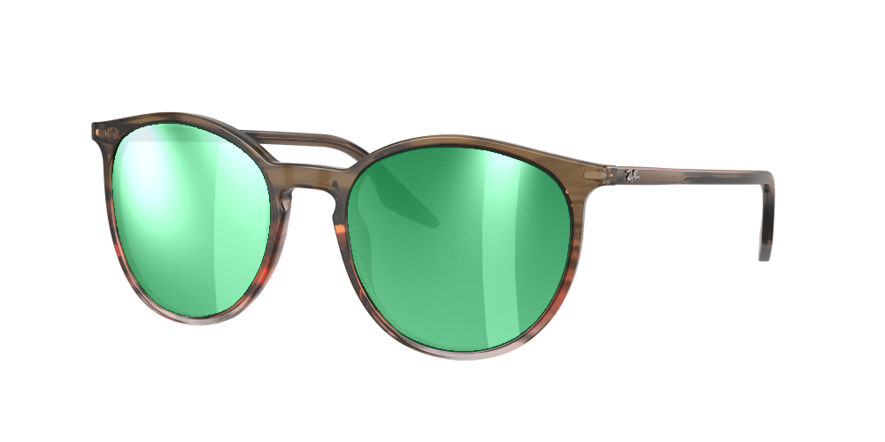 Ray Ban RB2204 13953B Ray Ban RB2204 13953B