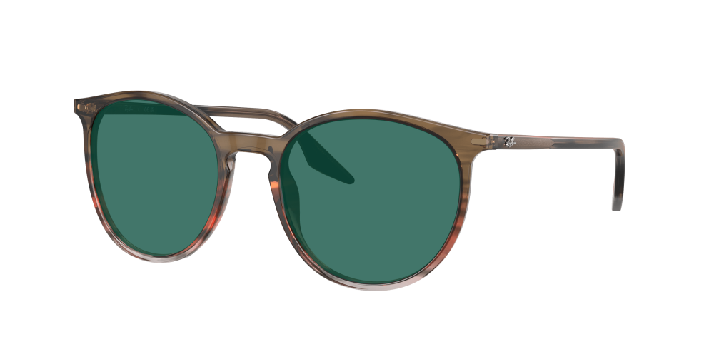Ray Ban RB2204 13953B Ray Ban RB2204 13953B
