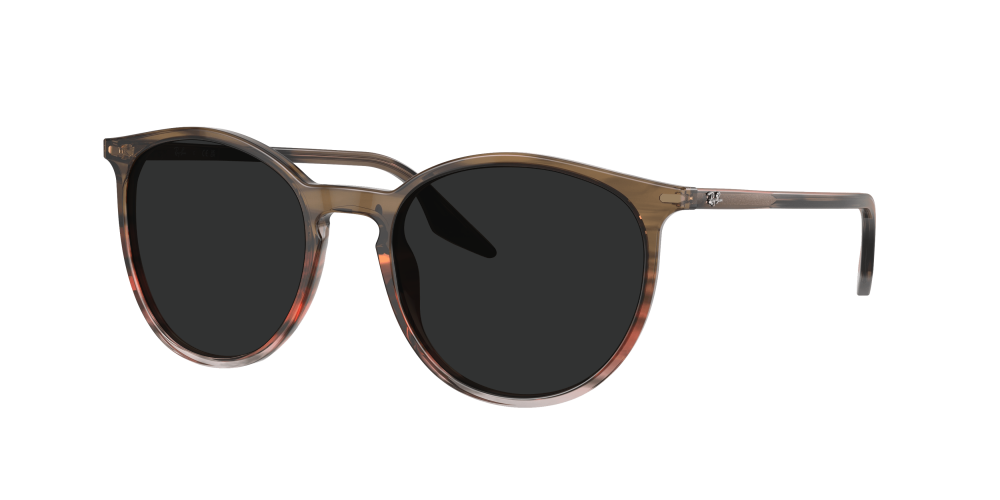 Ray Ban RB2204 13953B Ray Ban RB2204 13953B