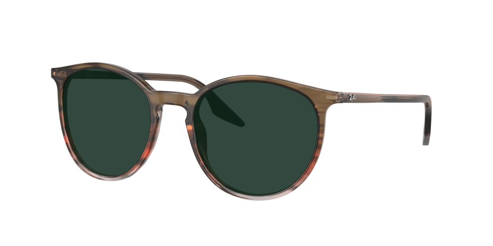 Ray Ban RB2204 13953B Ray Ban RB2204 13953B