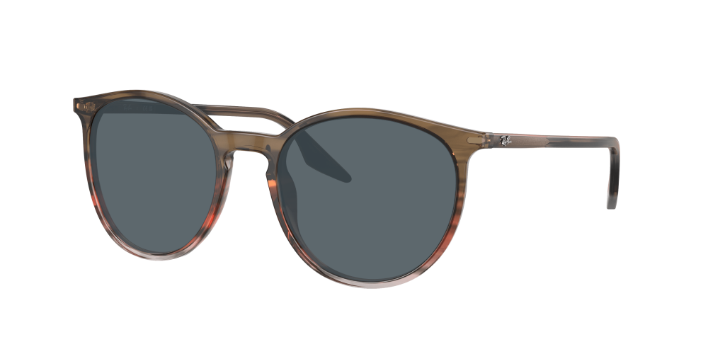 Ray Ban RB2204 13953B Ray Ban RB2204 13953B