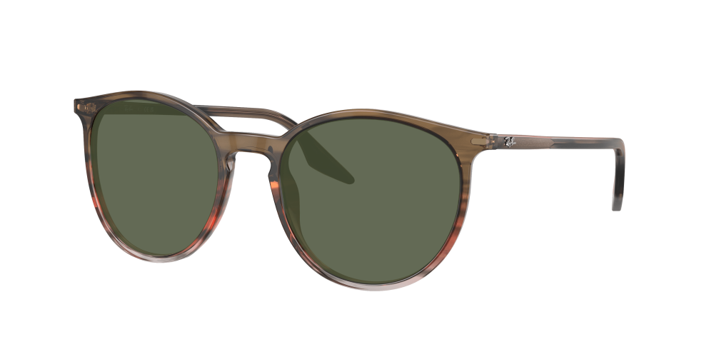 Ray Ban RB2204 13953B Ray Ban RB2204 13953B