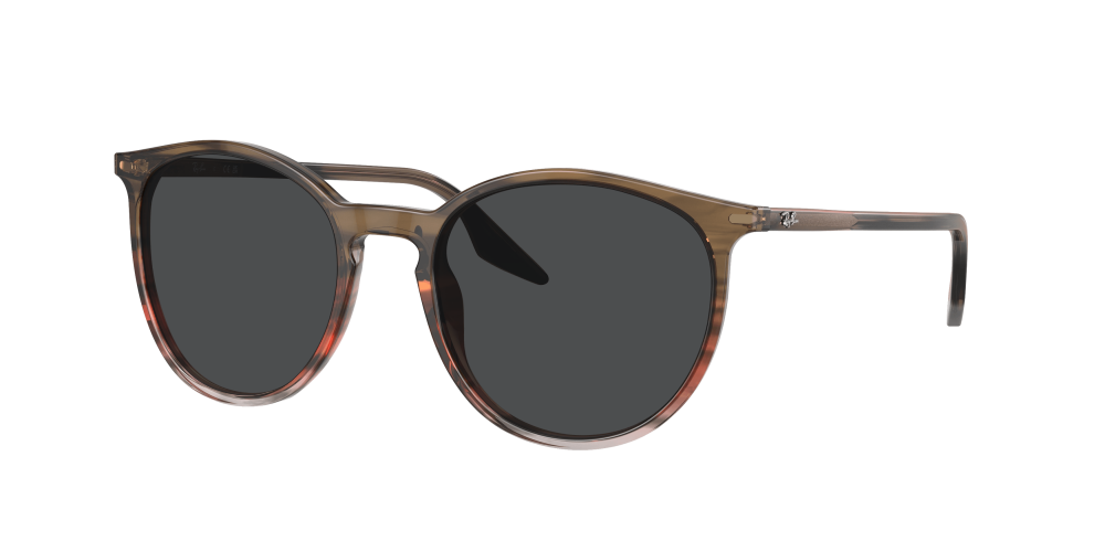 Ray Ban RB2204 13953B Ray Ban RB2204 13953B