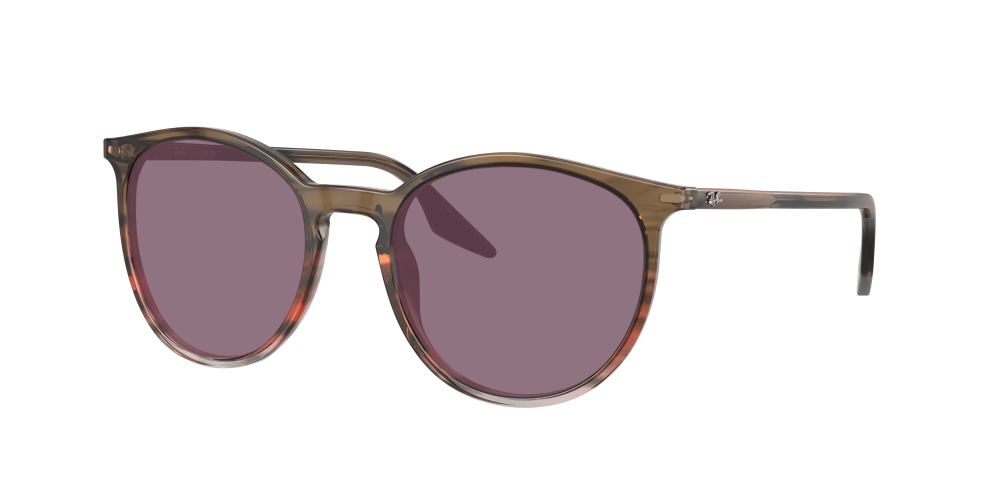 Ray Ban RB2204 13953B Ray Ban RB2204 13953B