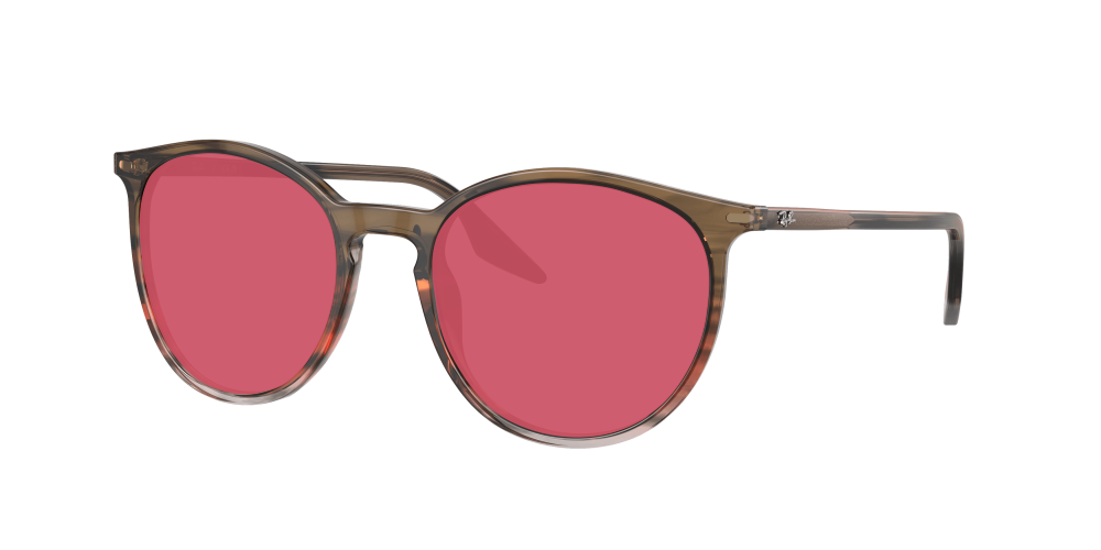 Ray Ban RB2204 13953B Ray Ban RB2204 13953B