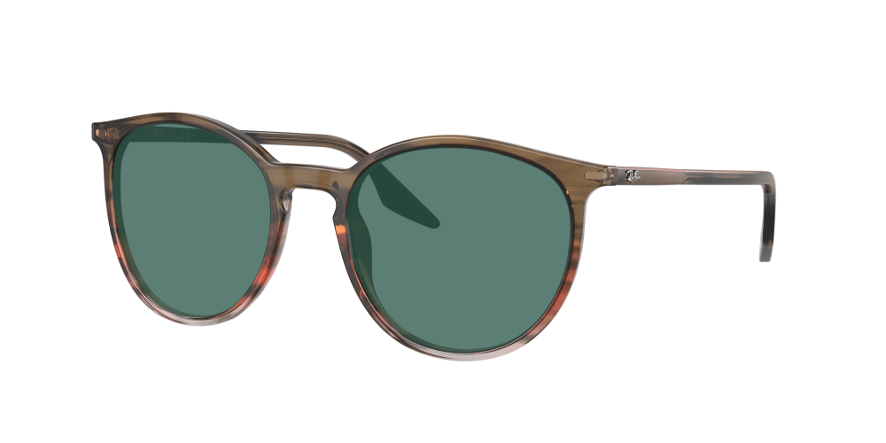 Ray Ban RB2204 13953B Ray Ban RB2204 13953B