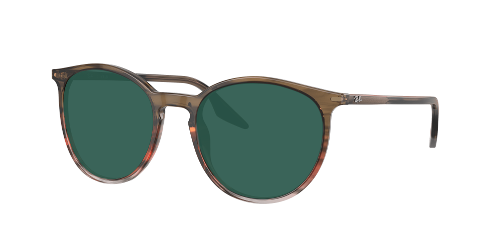 Ray Ban RB2204 13953B Ray Ban RB2204 13953B