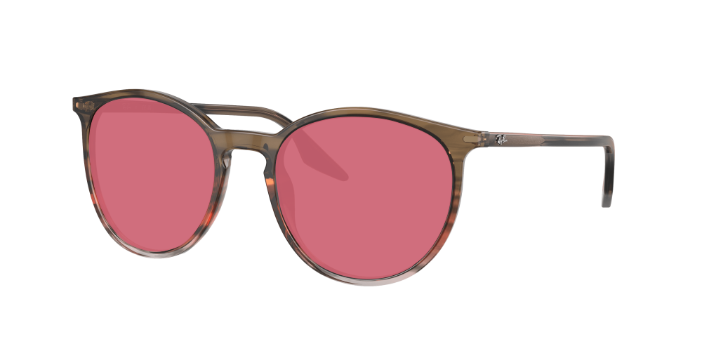 Ray Ban RB2204 13953B Ray Ban RB2204 13953B