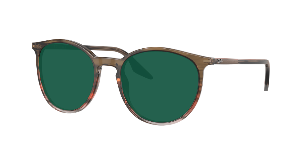 Ray Ban RB2204 13953B Ray Ban RB2204 13953B