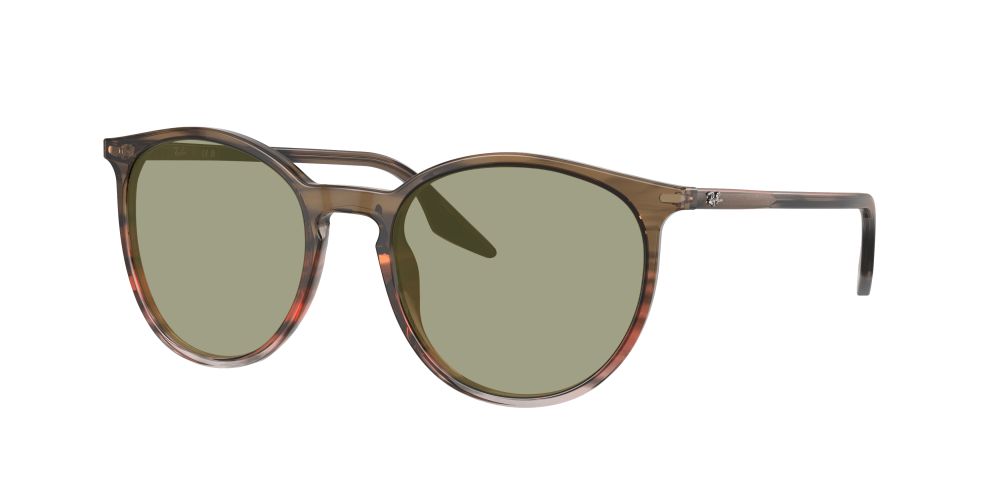 Ray Ban RB2204 13953B Ray Ban RB2204 13953B