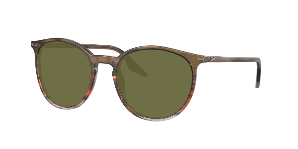 Ray Ban RB2204 13953B Ray Ban RB2204 13953B
