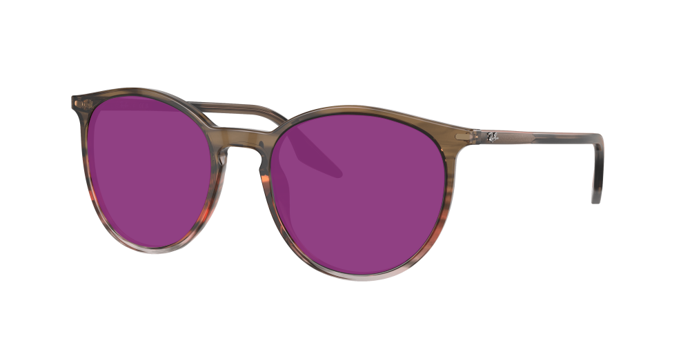 Ray Ban RB2204 13953B Ray Ban RB2204 13953B