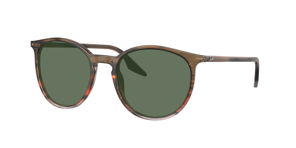 Ray Ban RB2204 13953B Ray Ban RB2204 13953B