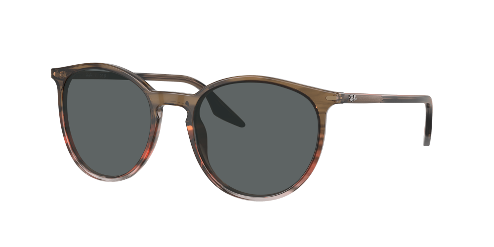 Ray Ban RB2204 13953B Ray Ban RB2204 13953B