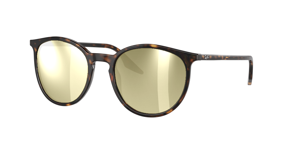 Ray Ban RB2204 902/51 Ray Ban RB2204 902/51