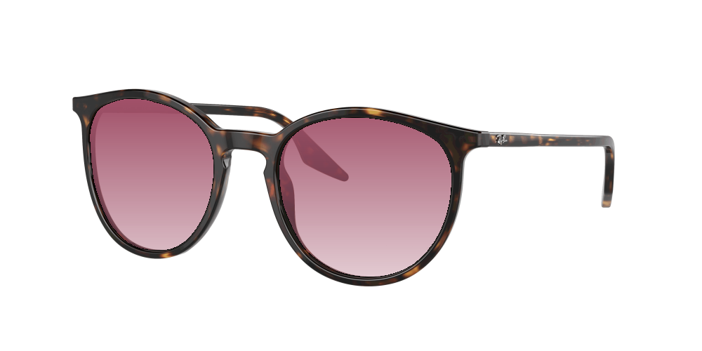 Ray-Ban RB2204 902/51 Ray-Ban RB2204 902/51
