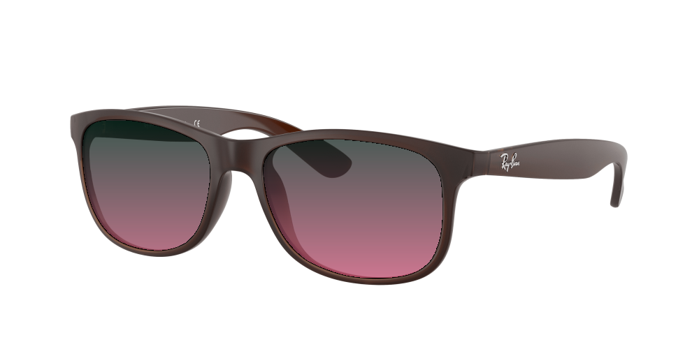Ray Ban RB4202 607313 Andy Ray Ban RB4202 607313 Andy