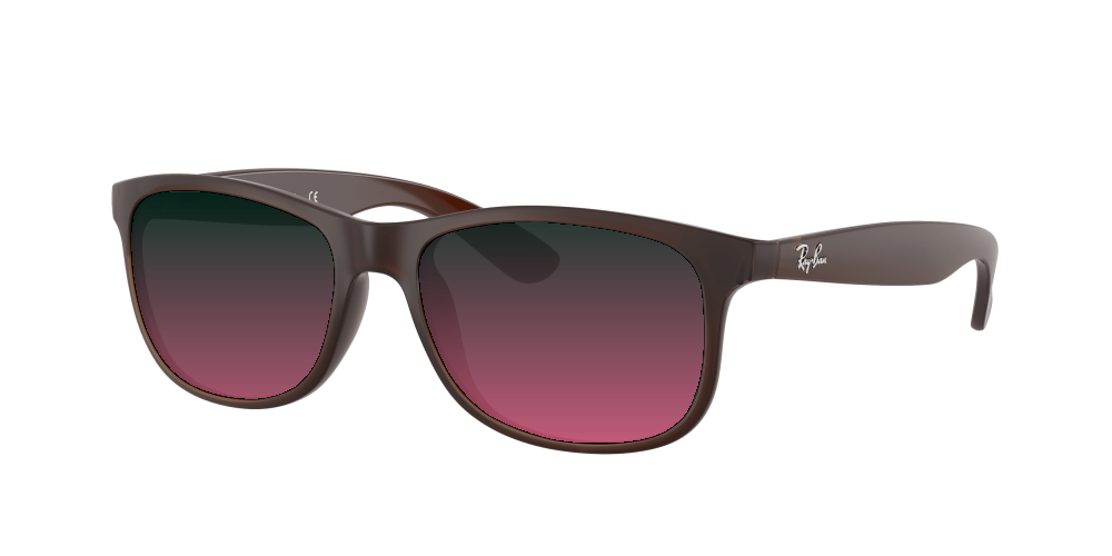 Ray-Ban RB4202 607313 Andy Ray-Ban RB4202 607313 Andy