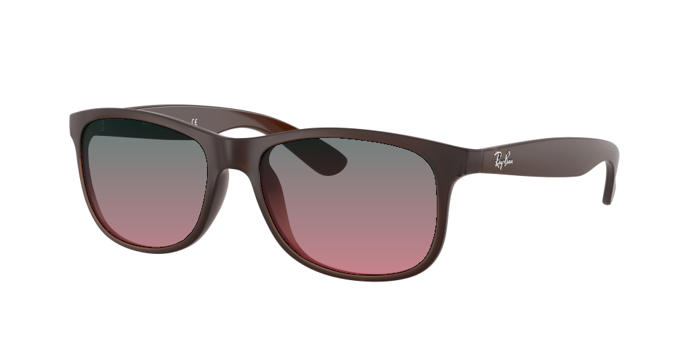 Ray Ban RB4202 607313 Andy Ray Ban RB4202 607313 Andy