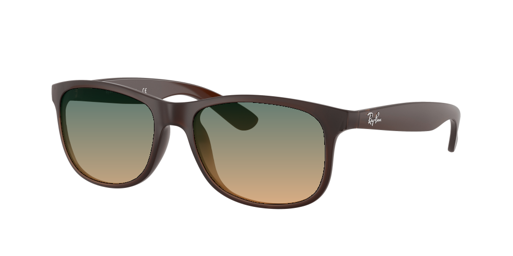 Ray Ban RB4202 607313 Andy Ray Ban RB4202 607313 Andy