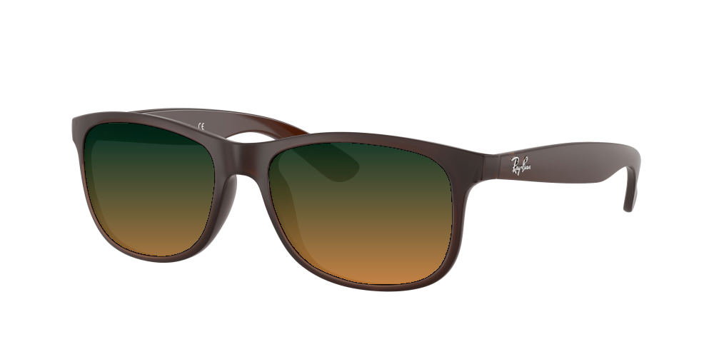 Ray Ban RB4202 607313 Andy Ray Ban RB4202 607313 Andy