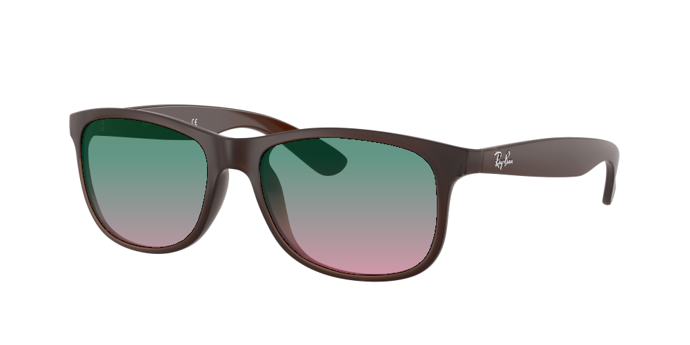 Ray Ban RB4202 607313 Andy Ray Ban RB4202 607313 Andy