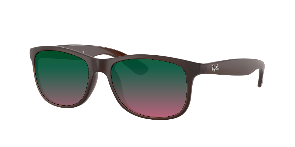 Ray Ban RB4202 607313 Andy Ray Ban RB4202 607313 Andy