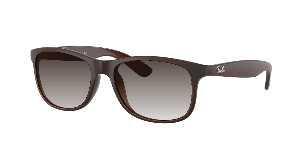 Ray Ban RB4202 607313 Andy Ray Ban RB4202 607313 Andy
