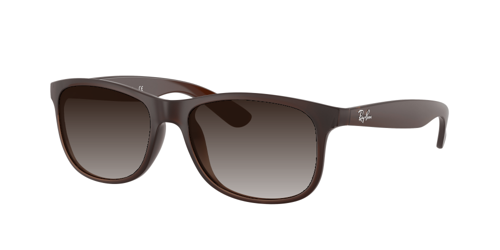 Ray Ban RB4202 607313 Andy Ray Ban RB4202 607313 Andy
