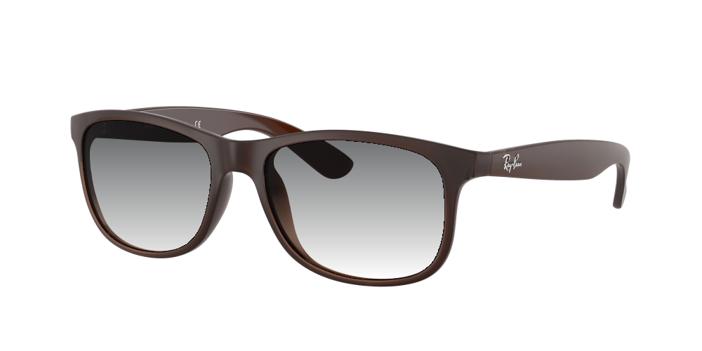 Ray Ban RB4202 607313 Andy Ray Ban RB4202 607313 Andy