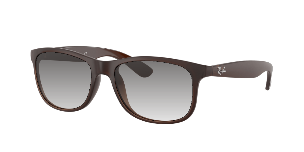 Ray Ban RB4202 607313 Andy Ray Ban RB4202 607313 Andy