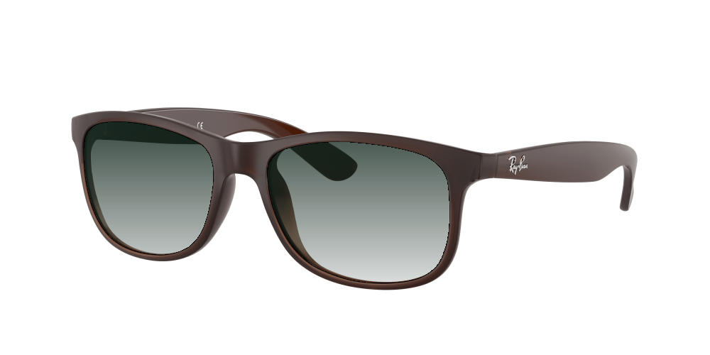 Ray Ban RB4202 607313 Andy Ray Ban RB4202 607313 Andy