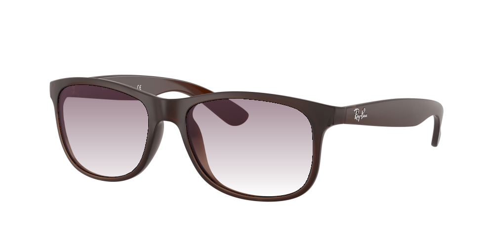 Ray Ban RB4202 607313 Andy Ray Ban RB4202 607313 Andy