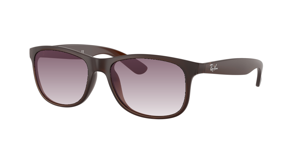 Ray Ban RB4202 607313 Andy Ray Ban RB4202 607313 Andy