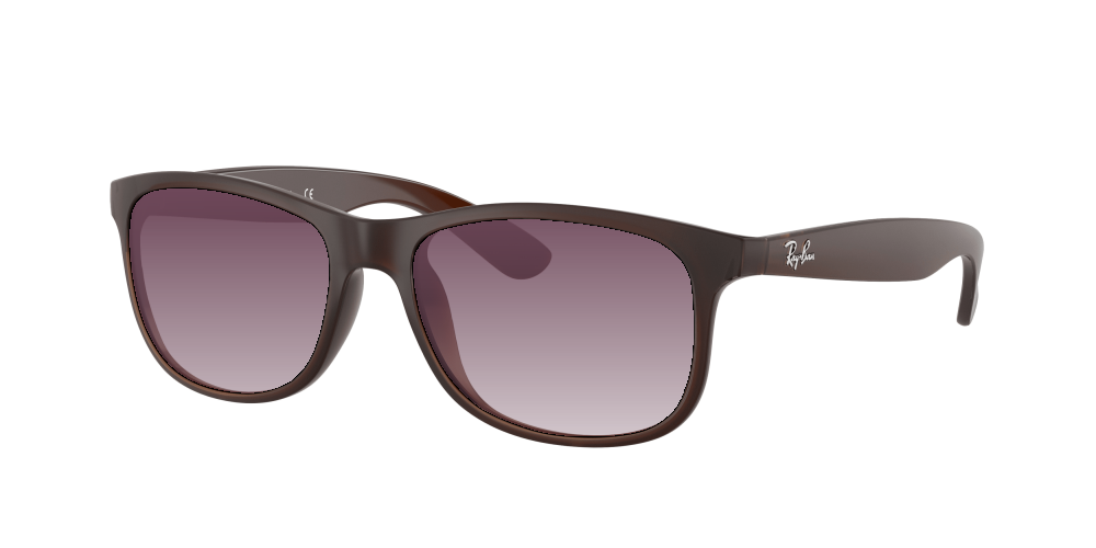 Ray Ban RB4202 607313 Andy Ray Ban RB4202 607313 Andy