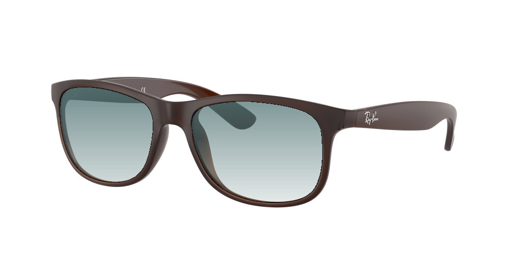 Ray Ban RB4202 607313 Andy Ray Ban RB4202 607313 Andy