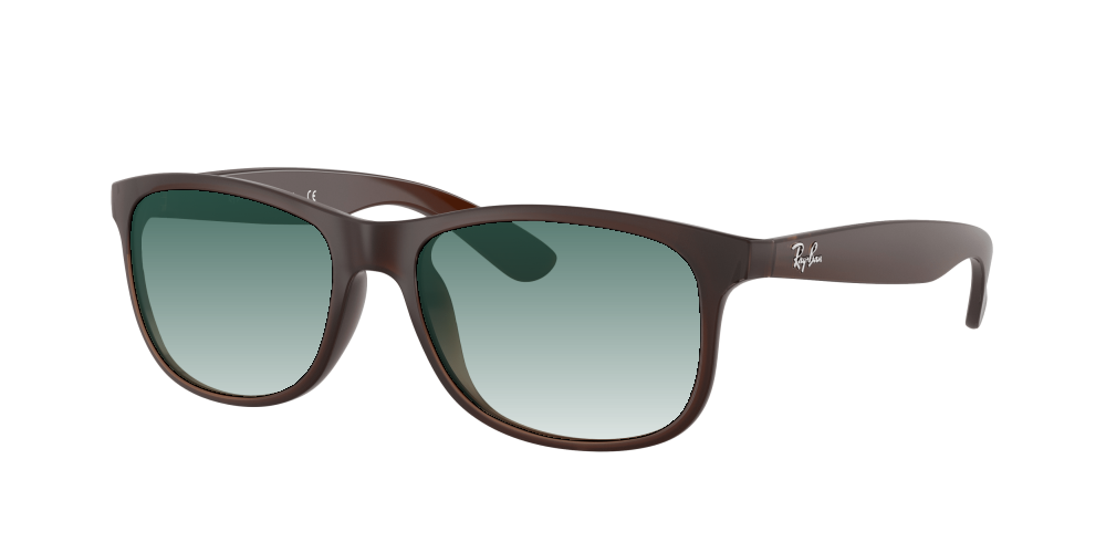 Ray Ban RB4202 607313 Andy Ray Ban RB4202 607313 Andy
