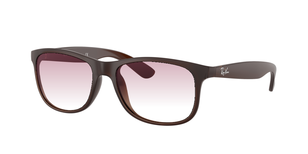 Ray Ban RB4202 607313 Andy Ray Ban RB4202 607313 Andy