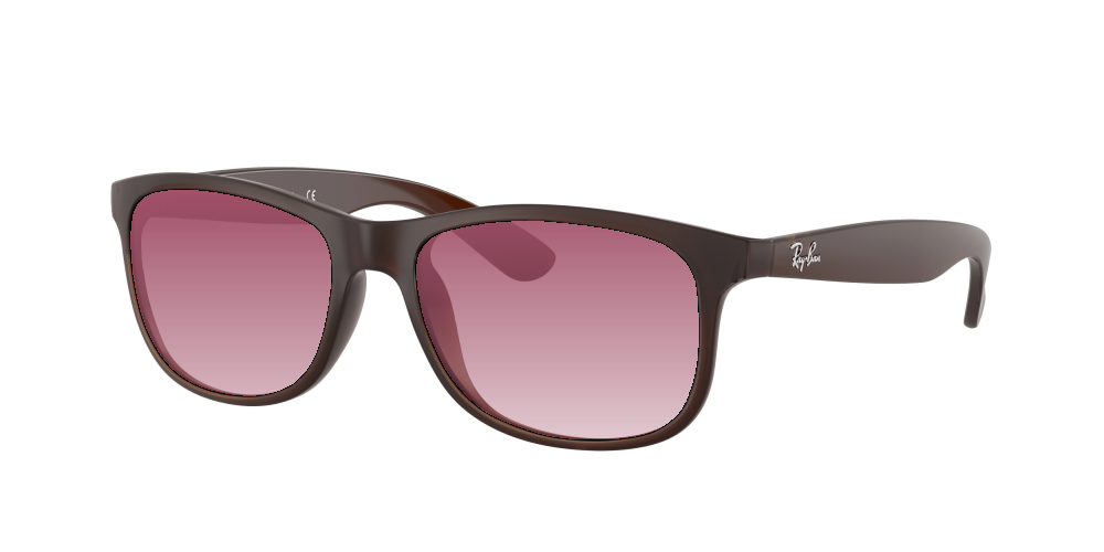 Ray-Ban RB4202 607313 Andy Ray-Ban RB4202 607313 Andy