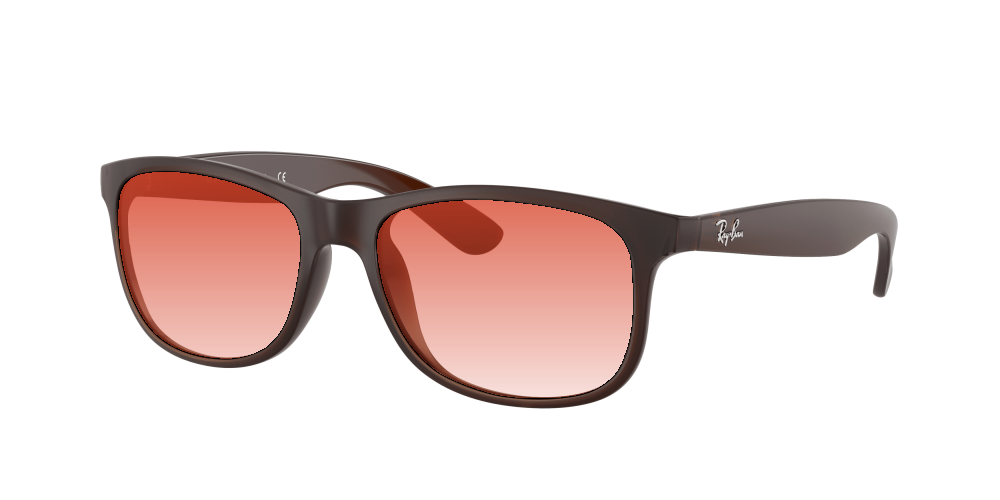 Ray-Ban RB4202 607313 Andy Ray-Ban RB4202 607313 Andy