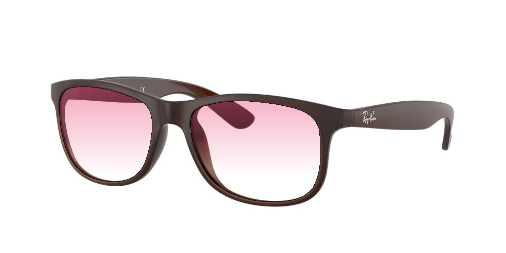 Ray Ban RB4202 607313 Andy Ray Ban RB4202 607313 Andy