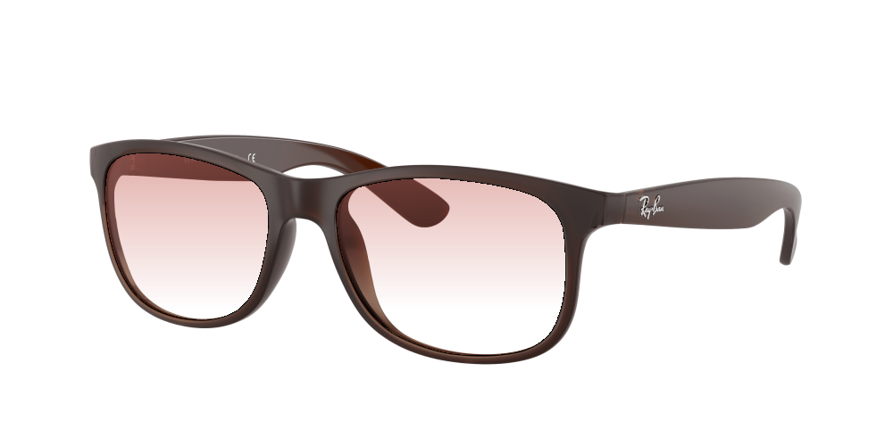 Ray Ban RB4202 607313 Andy Ray Ban RB4202 607313 Andy