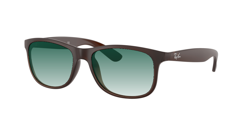 Ray Ban RB4202 607313 Andy Ray Ban RB4202 607313 Andy