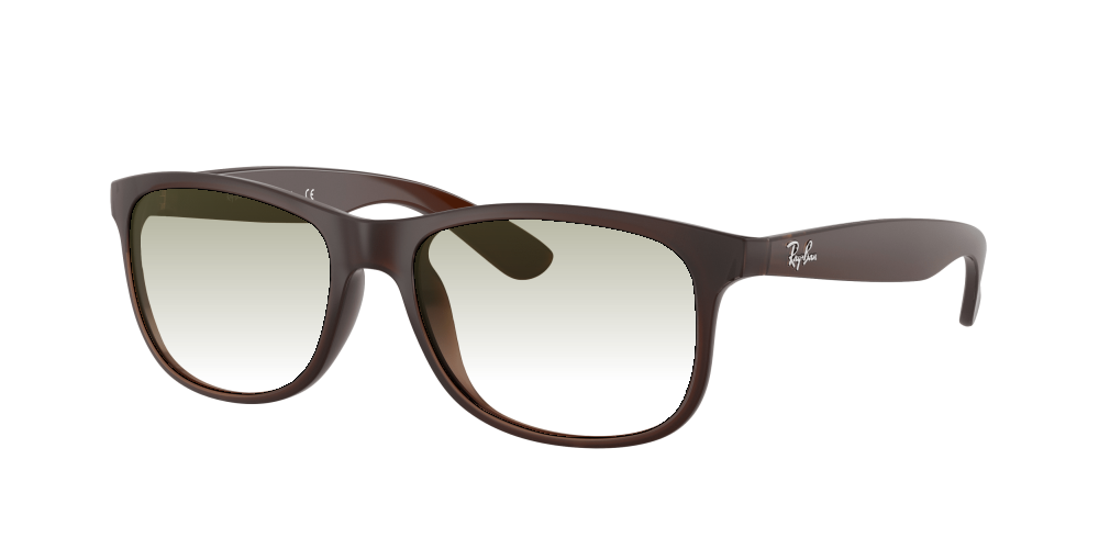 Ray Ban RB4202 607313 Andy Ray Ban RB4202 607313 Andy